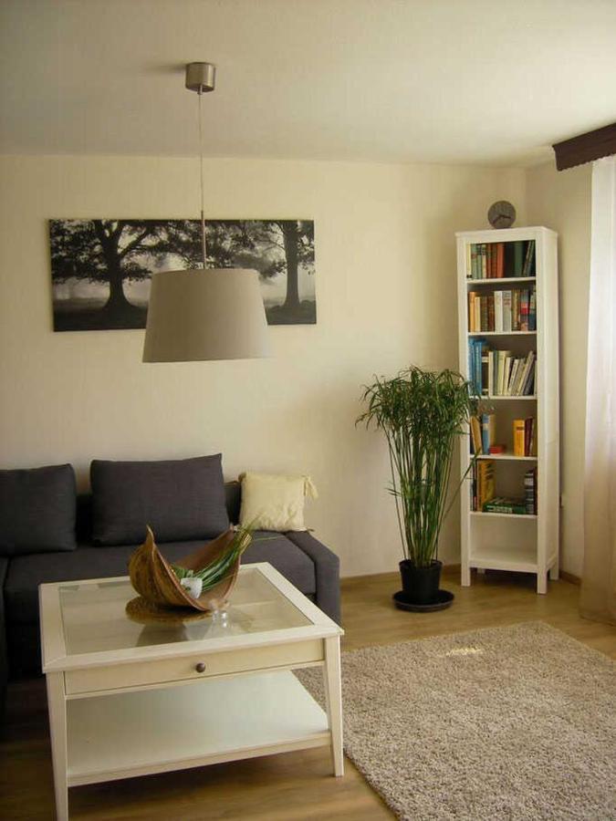Apartmán Haus Ellbogen Momlingen Exteriér fotografie